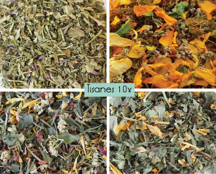 Tisanes bien-être sur commande