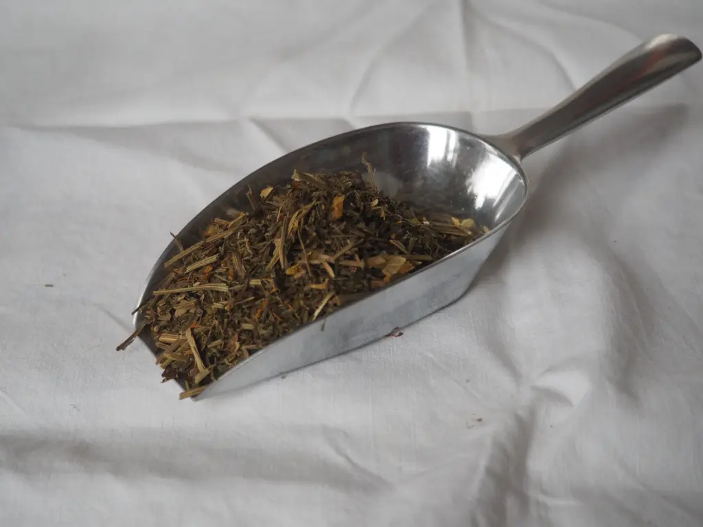 Escholtzia - Pavot de Californie