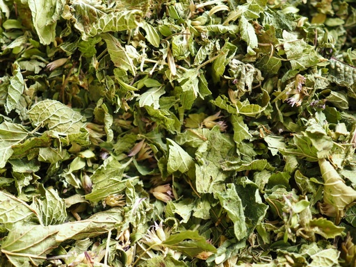 Tisane n°1 : En transit