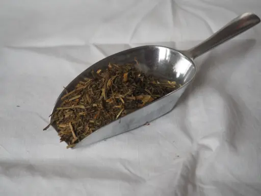 Escholtzia - Pavot de Californie