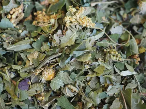 Tisane n°8 : La Souplesse du Chat